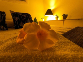 Amazonia Guest House